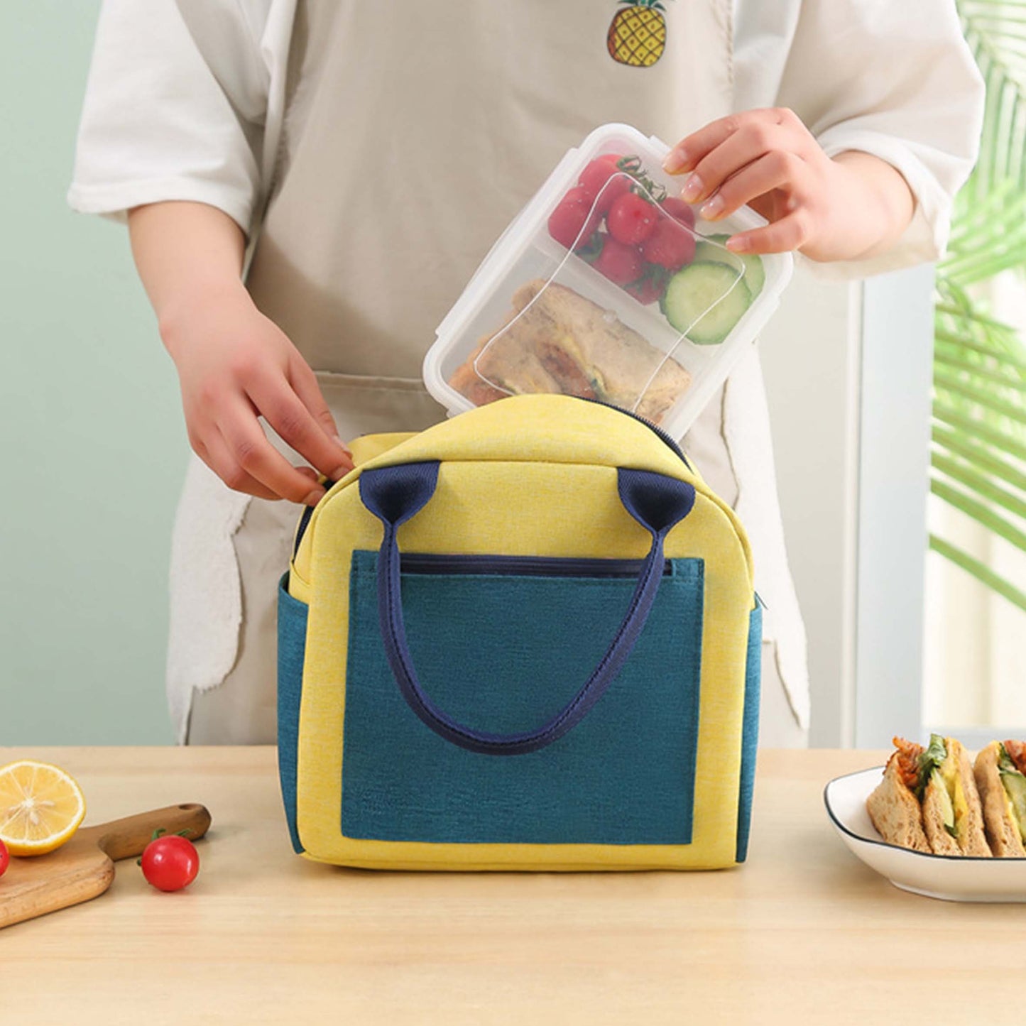 Colorful Insulated Lunch Box Moisture-proof Picnic Hiking Thermal Insulated Bag - MTWORLDKIDS.COM